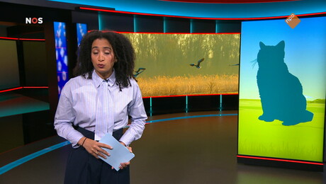 Het NOS Jeugdjournaal | NOS Jeugdjournaal